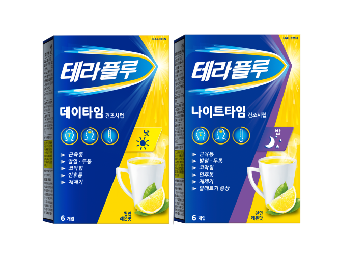 2022년 원문에서 제품 구성을 설명하기 위해 사용한 테라플루 데이·나이트 제품 이미지